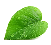 Resilience logo